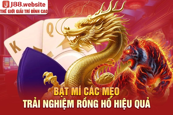 Bật mí các mẹo trải nghiệm rồng hổ hiệu quả
