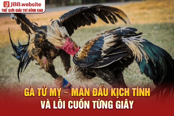 Gà tử mỵ