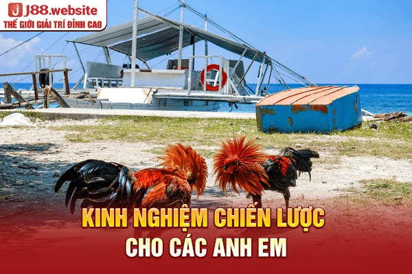 Kinh nghiệm chiến lược cho các anh em