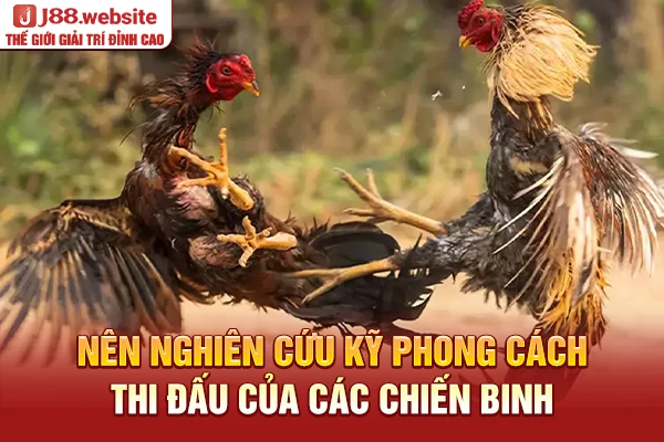 Nên nghiên cứu kỹ phong cách thi đấu của các chiến binh